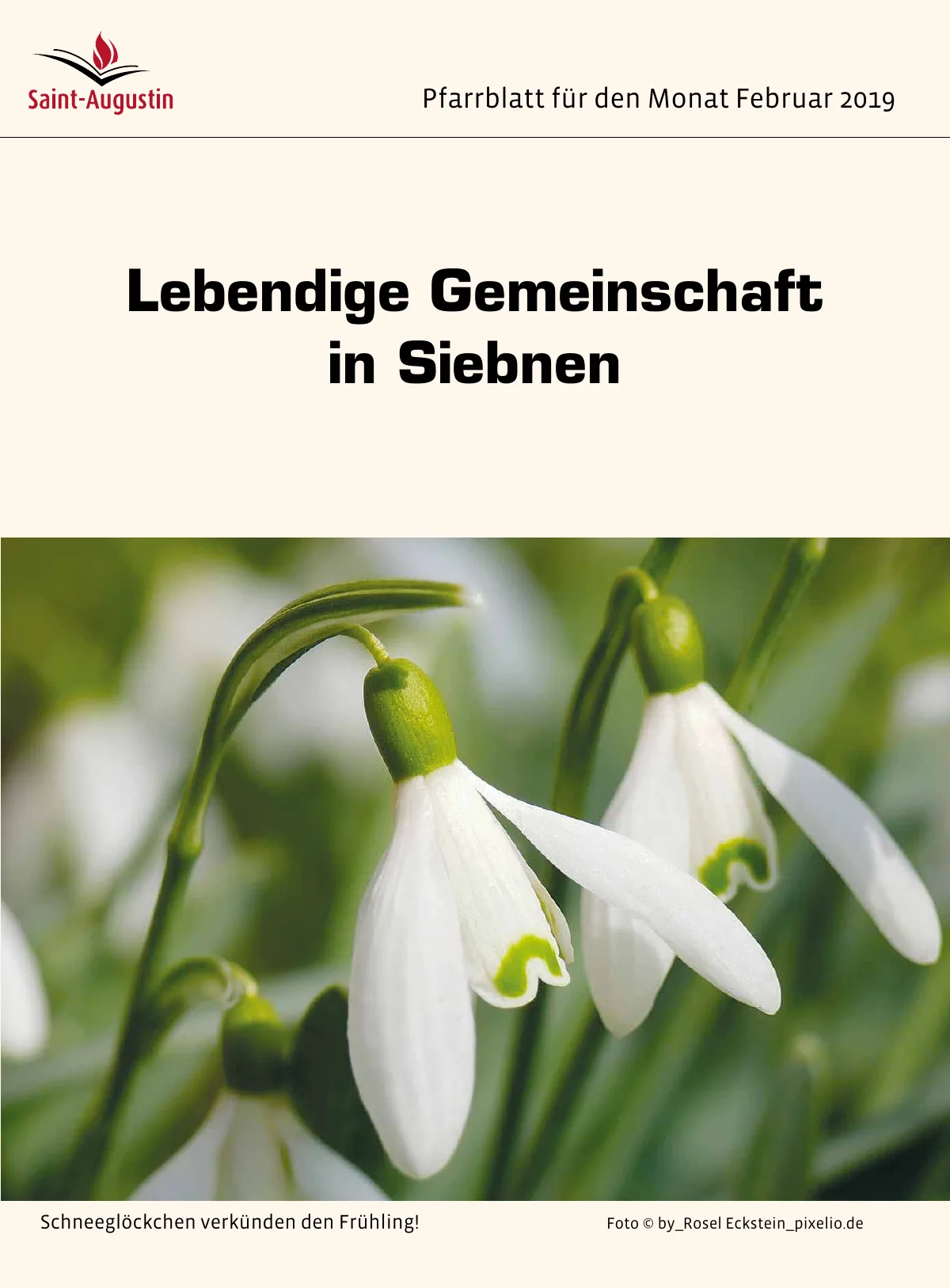 Titelblatt Pfarrblatt für den Monat Februar 2019