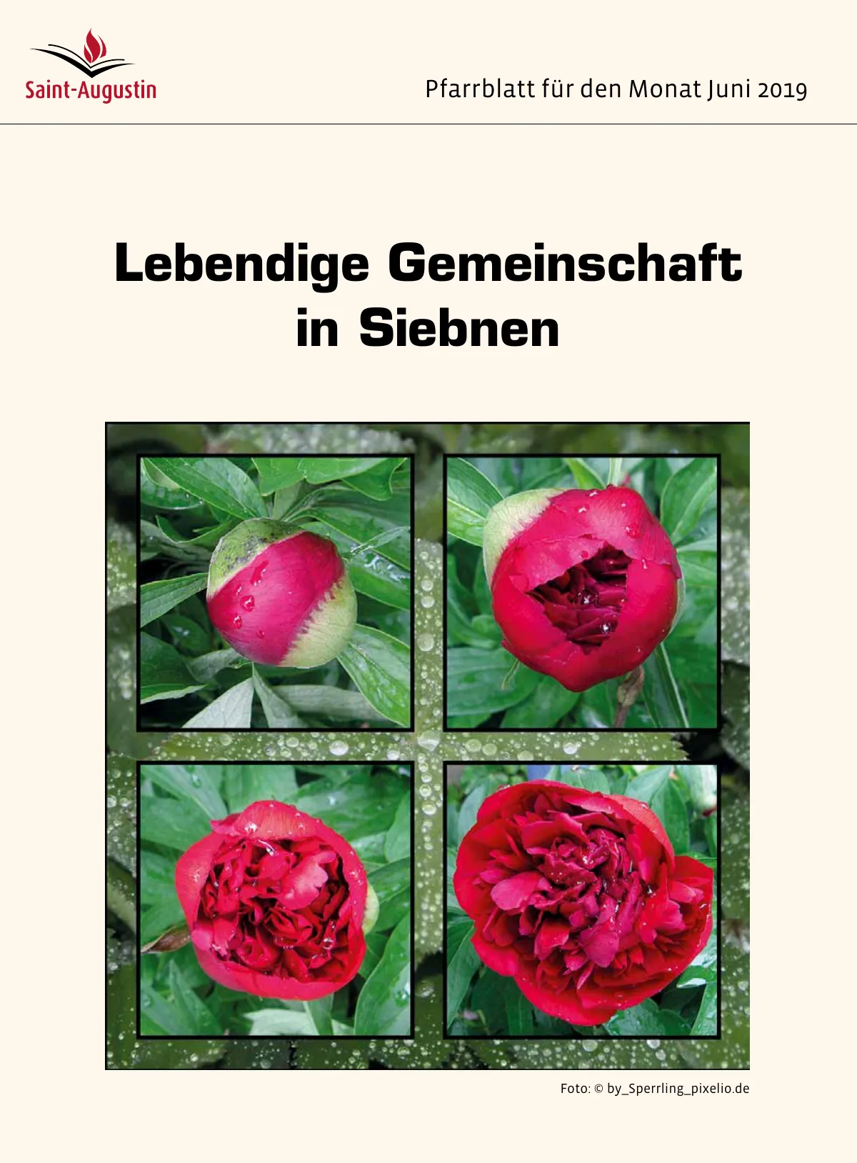 Titelblatt Pfarrblatt für den Monat Juni 2019